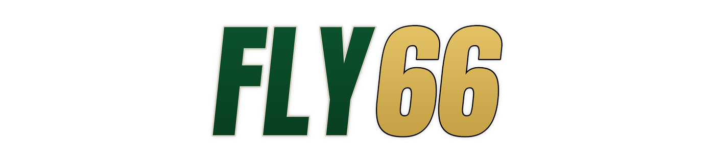 fly66